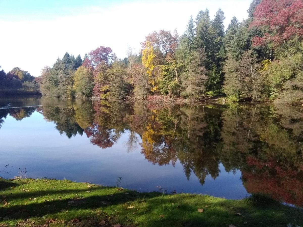 Gite De L'Arboretum Dompierre-les-Ormes المظهر الخارجي الصورة